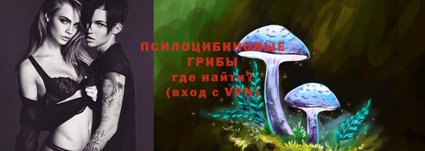 героин Алексин