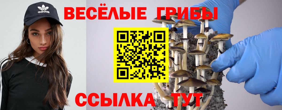 Псилоцибиновые грибы прущие грибы  Вход с VPN  Псилоцибиновые грибы прущие грибы  Йошкар-Ола 