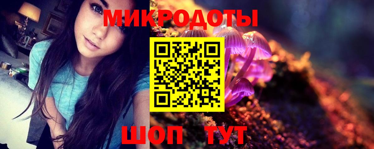 Псилоцибиновые грибы Psilocybe Йошкар-Ола